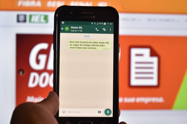 iel df whatsapp atendimento estudante