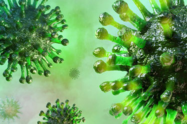 coronavirus 1