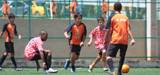 paf_1